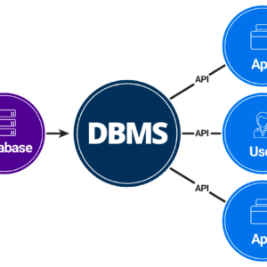 Understanding Database